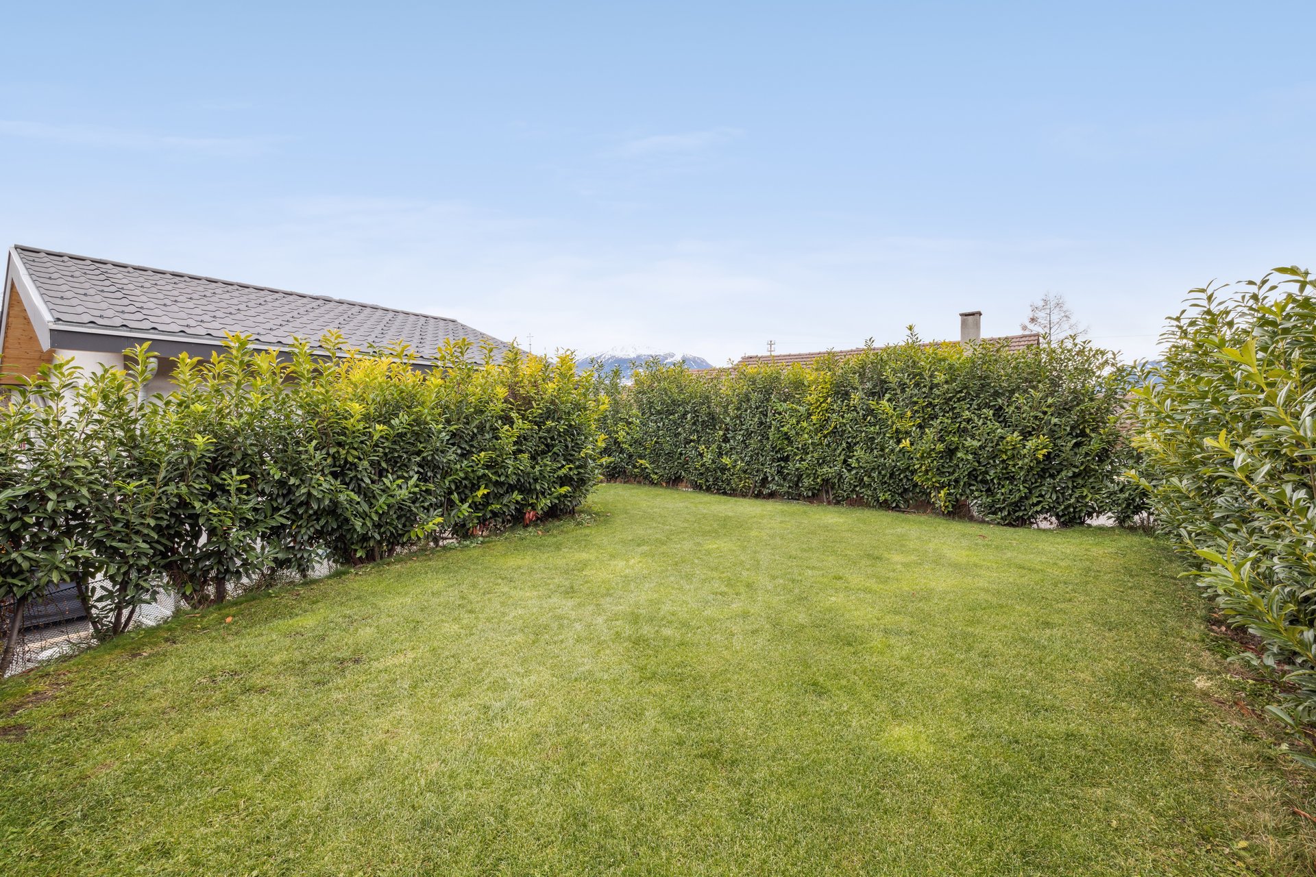 backbone_521587-a_058_web_2024-12-20-082010