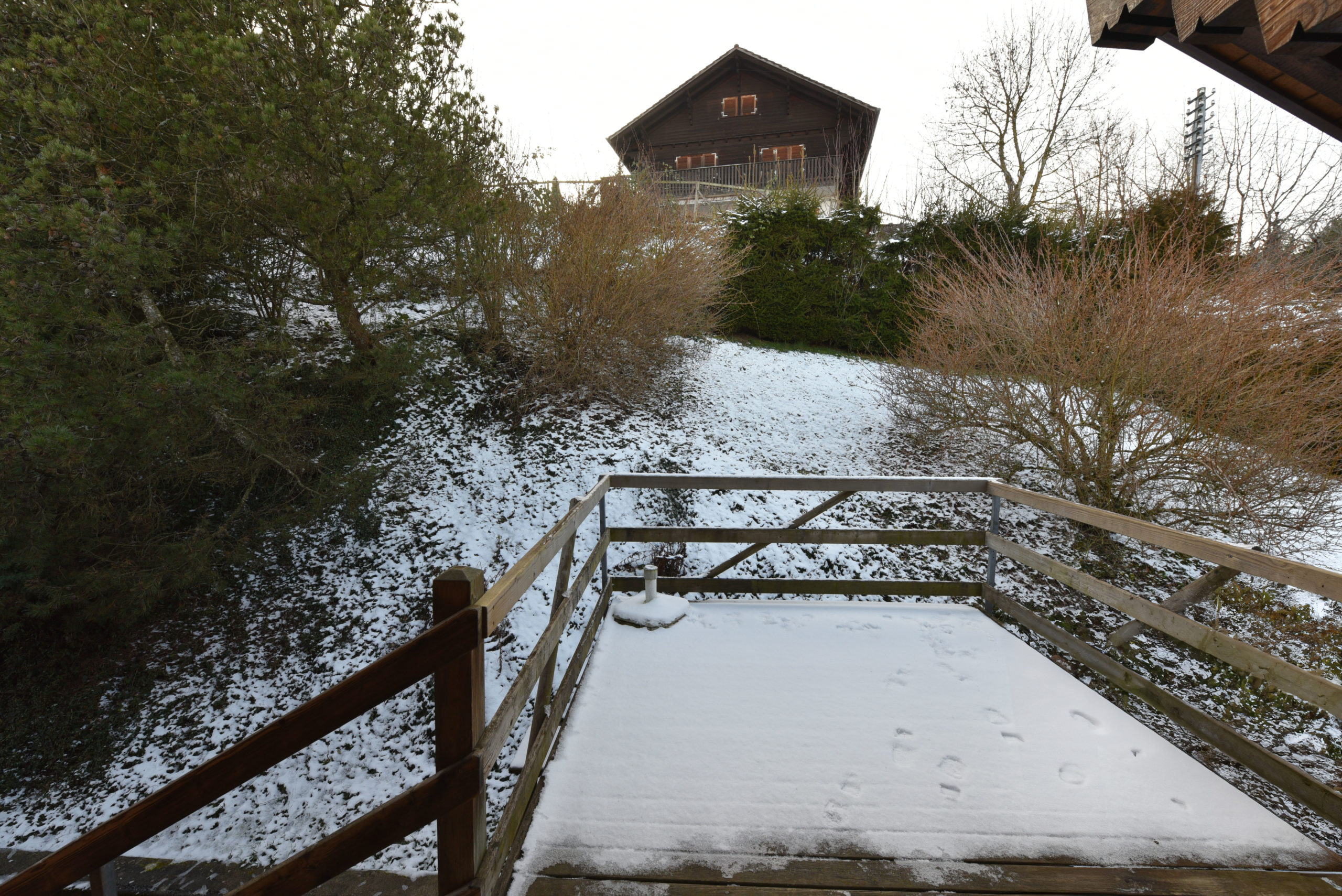 imbpfiehii__dsc_2847