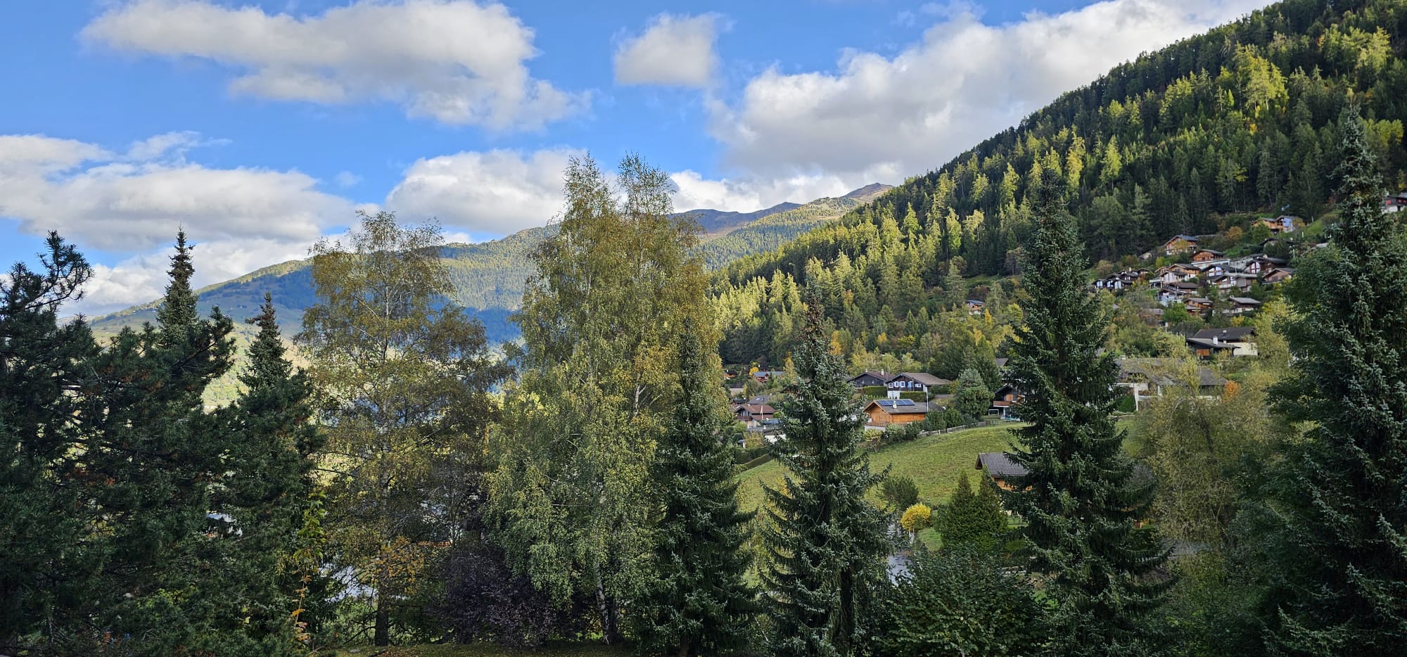 img-20241213-wa0009_2024-12-13-121429