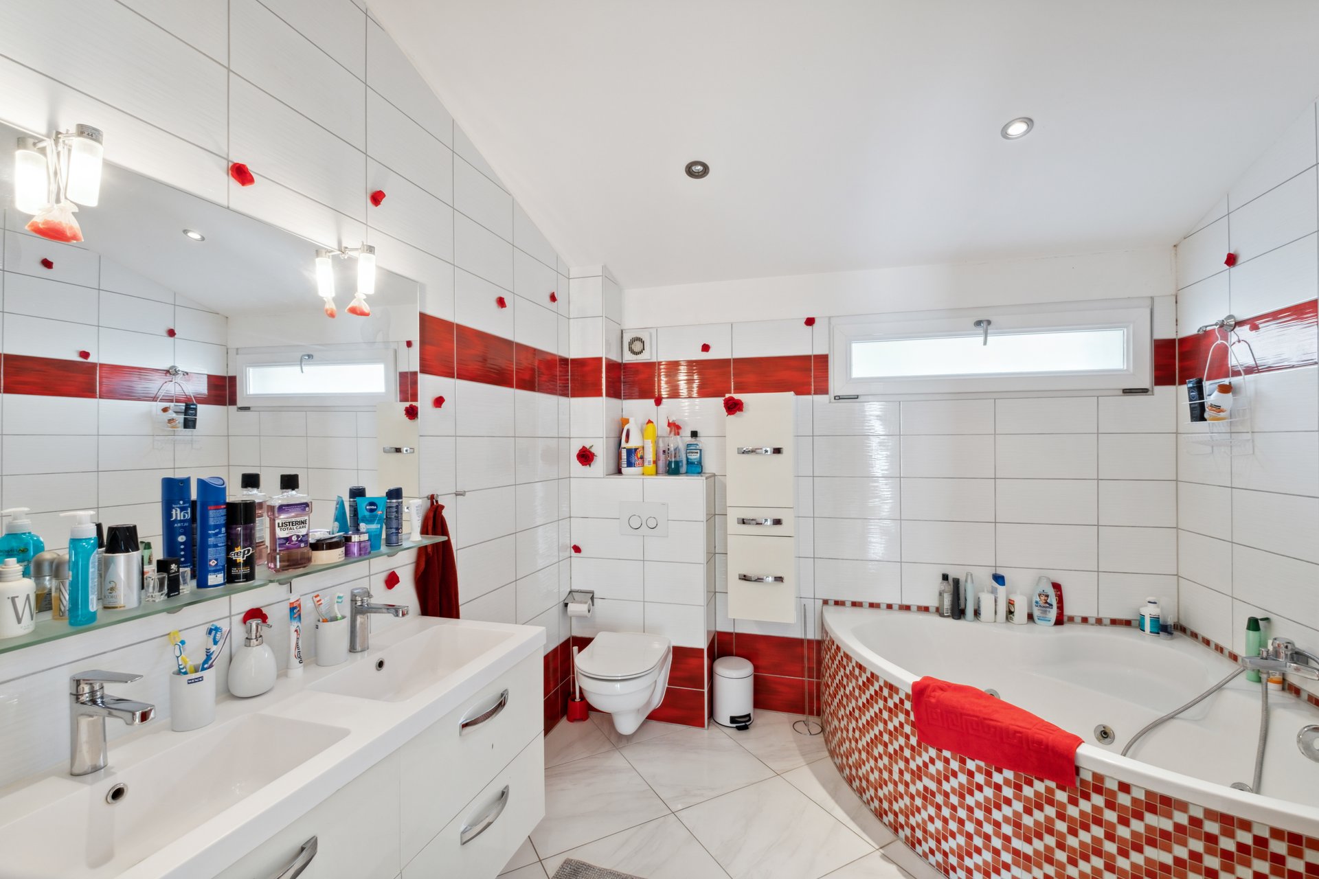 Ravissant immeuble de rendement mixte