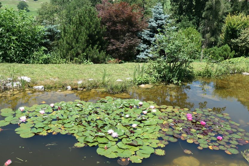 Exceptionnelle propriété de campagne