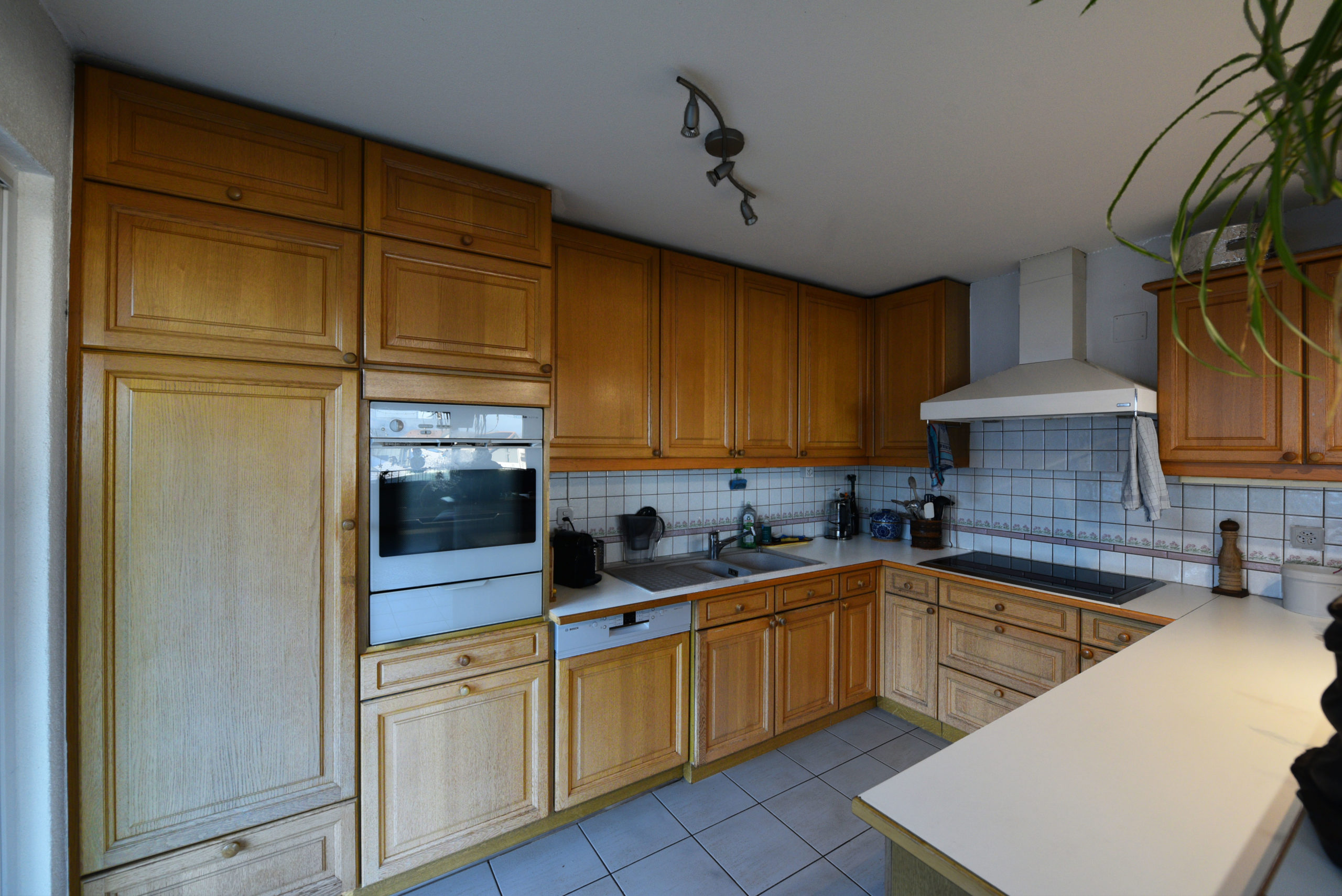 xthxhyifkv__dsc_2750