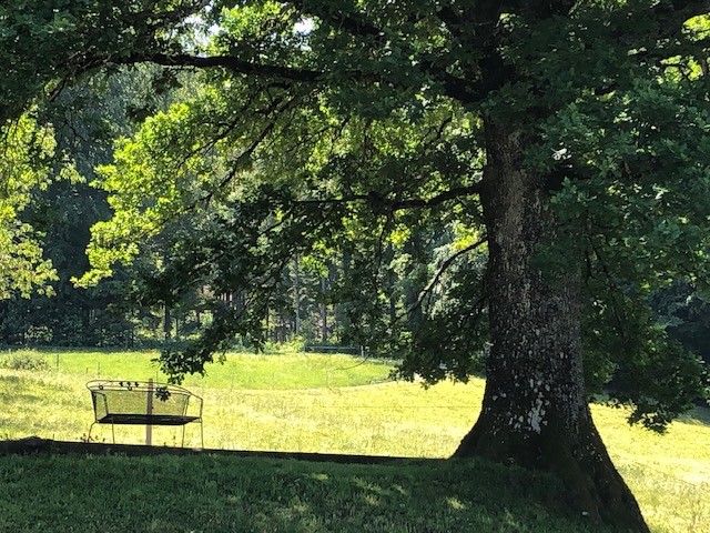 Exceptionnelle propriété de campagne